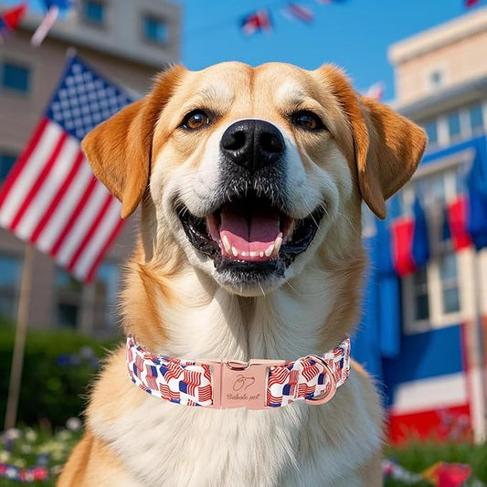 American Flag Dog Collar - 4th of July Dog Dog Collars for Puppy & Tiny Dogs, Adjustable Independence Day Metal Buckle Patriotic Dog Collar XS