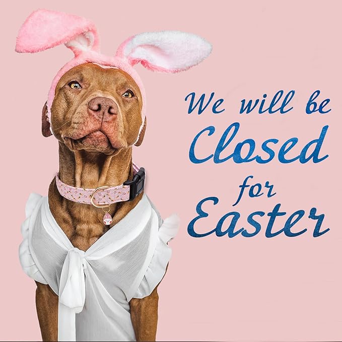 Faygarsle Cute Easter Collar for Small Medium Large Dogs Girl Boy Female Male Dog Pink Cotton with Adorable Rabbit Print Easter Puppy Collar with Easter Egg Charm S