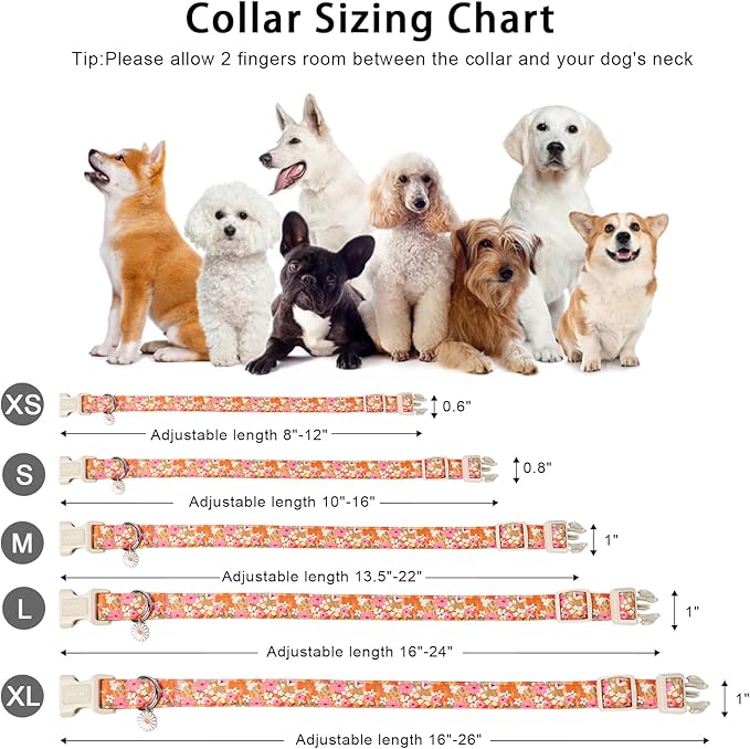 ARING PET Spring Summer Dog Collar, Cute Daisy Wildflower Floral Blossom Pet Collars for Small Medium Large Girl Dogs-XL Size