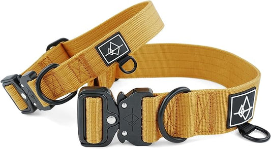 Made to ROAM Premium Dog Collar - Adjustable Heavy Duty Nylon Collar with Quick-Release Metal Buckle (Michigan Autumn, Classic Size 1)