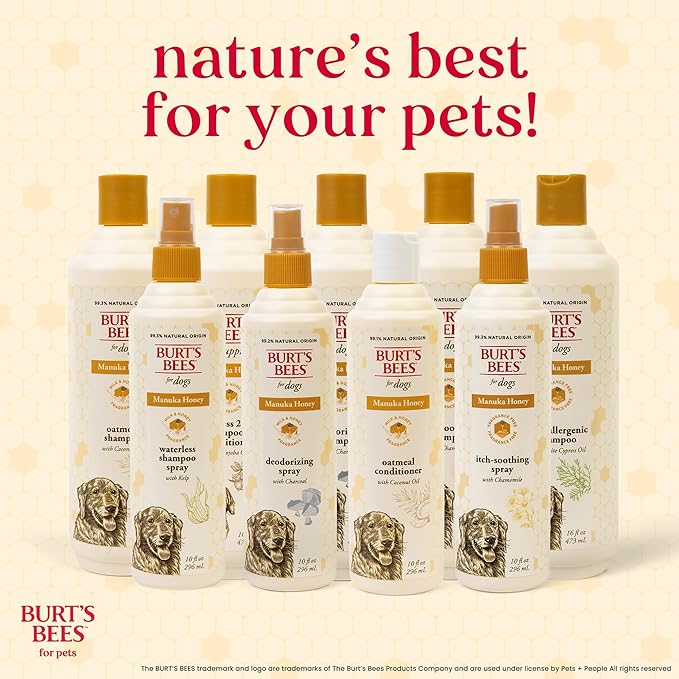 BURT'S BEES FOR PETS Paw & Nose Lotion for Dogs with Manuka Honey and Olive Oil, Soothes Dry Dog Paws -Naturally Derived Ingredients, 6 Oz