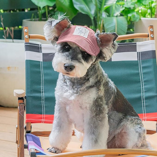 Pet Dog Baseball Cap, Cat Hat, Cat Dog Sun Cap with Ear Holes, Adjustable Puppy Outdoor Sun Hat (Pink, Medium)