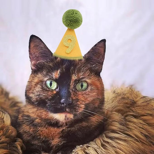Pet Birthday Hat with Interchangeable Numbers 1-10 | Adjustable Pet Party Cone Hat for Dogs & Cats | Puppy Birthday Photo Props for 1st to 10th Birthday Celebrations (Yellow Green Birthday Pet Hat)