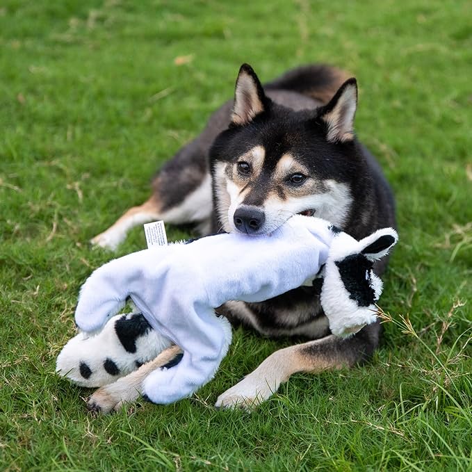 Best Pet Supplies Squeaky Dog Toys with Soft Durable Fabric for Small, Medium and Large Pets Interactive Toy for Indoor Play, Supports Active Biting and Play - Cow, Small