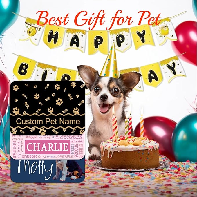 Personalized Dog Food Mats for Floors Custom Pet Placemat Mats for Food and Water Waterproof Customized Pet Food Mat with Name Gifts for Dog & Cat Owners Design 1