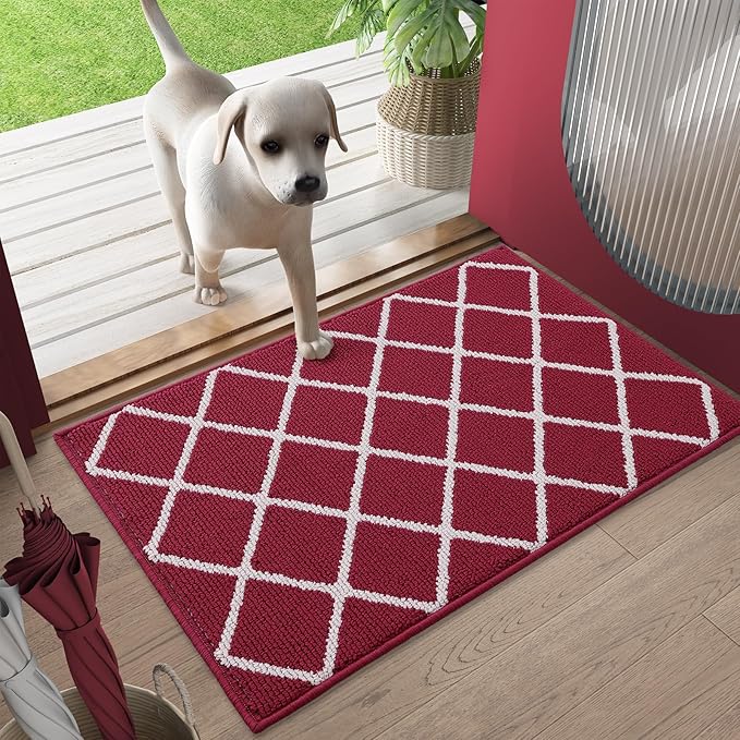 Finchitty Indoor Door Mat, Dirt Resistant and Absorbent, Low-Profile, Non-Slip, Washable Inside Floor Mats for Front Door, Back, and Entrance, 40" x 32", Burgundy