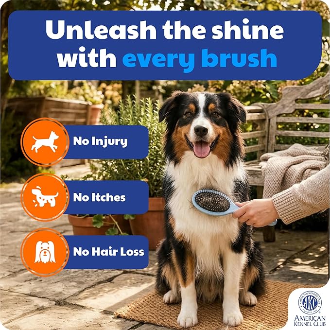 American Kennel Club AKC Pet Grooming Brush for Dogs and Cats - 2-in-1 Deshedding and Detangling Brush with Dense Nylon Bristles, Removes Loose Hair for Short and Long Coat Dogs and All Breeds