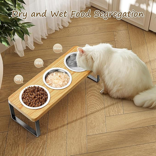 2 Pack Elevated Cat Bowls with 3 Stainless Steel Bowls | 10° Tilted Anti-Vomiting Raised Cat Food Bowl for Small Cats and Puppies Pet Bowl with Stand