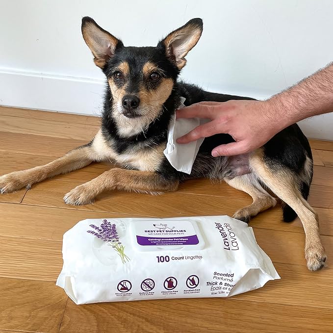 Best Pet Supplies 8" x 9" Large Dog Wipes - Cleaning and Deodorizing for Paws and Coat - Gentle Formula with Lavender Vitamin E for Puppies and Cats - 400 Count
