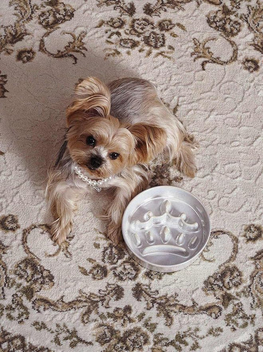 LE TAUCI Ceramic Slow Feeder Dog Bowls Small Breed, 0.6 Cups Dog Food Dish for Fast Eaters, Puzzle Bowl for Small Dogs and Cats,Crown Silver