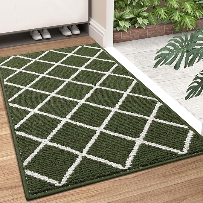 Finchitty Indoor Door Mat, Dirt Resistant and Absorbent, Low-Profile, Non-Slip, Washable Inside Floor Mats for Front Door, Back, and Entrance, 32" x 20", Green