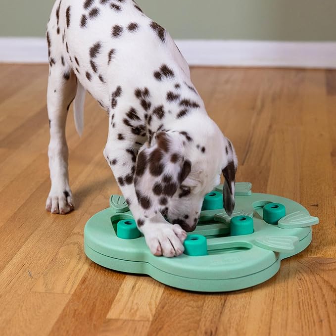 Outward Hound by Nina Ottosson Puppy Hide N' Slide Treat Puzzle Enrichment Dog Toy, Green