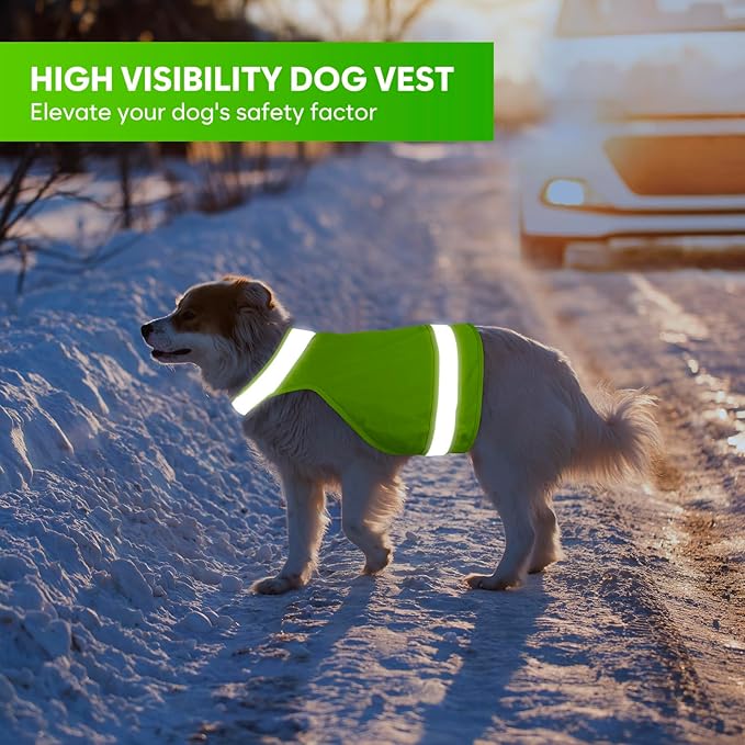 2 Pieces High Visibility Reflective Dog Hunting Vest Pet Safety Vest, Make Dog More Visible and Safe in Hunting Season Outdoor Activities Walking (Fluorescent Green&Blaze Orange,S)