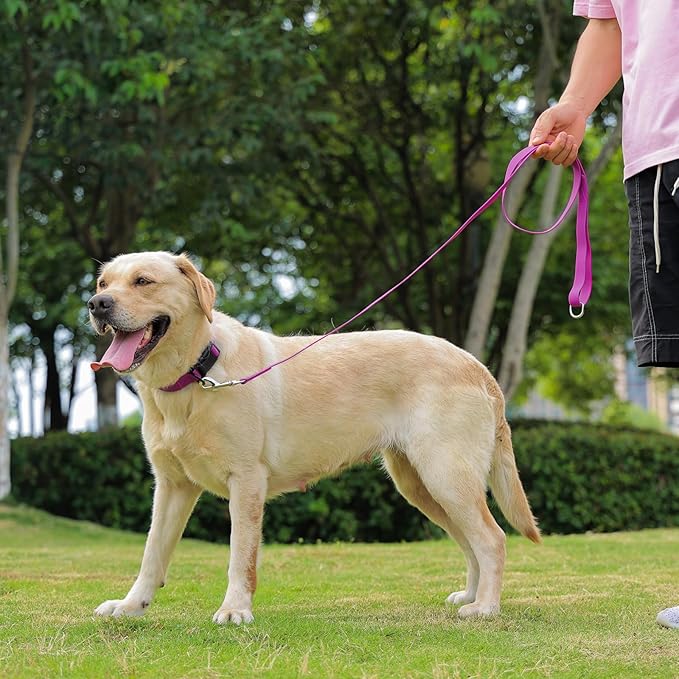 Waterproof Dog Collar, Easy to Clean Rubber Dog Collars with Quick Release Buckle Fits Small Medium or Large Dogs (Purple, M < 11.8-18.5 inch)