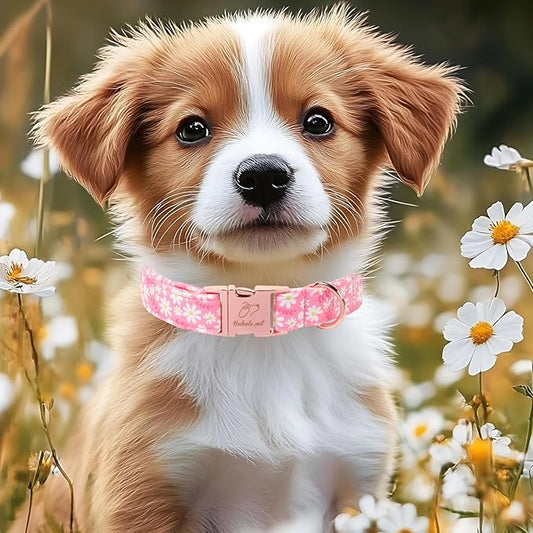 Dainty Daisy Dog Collar, Spring/Summer Pink Floral Girl Dog Collars, Adjustable Heavy Duty Cottagecore Female Dogs Collar for Small Medium Large Dogs with Metal Buckle XL