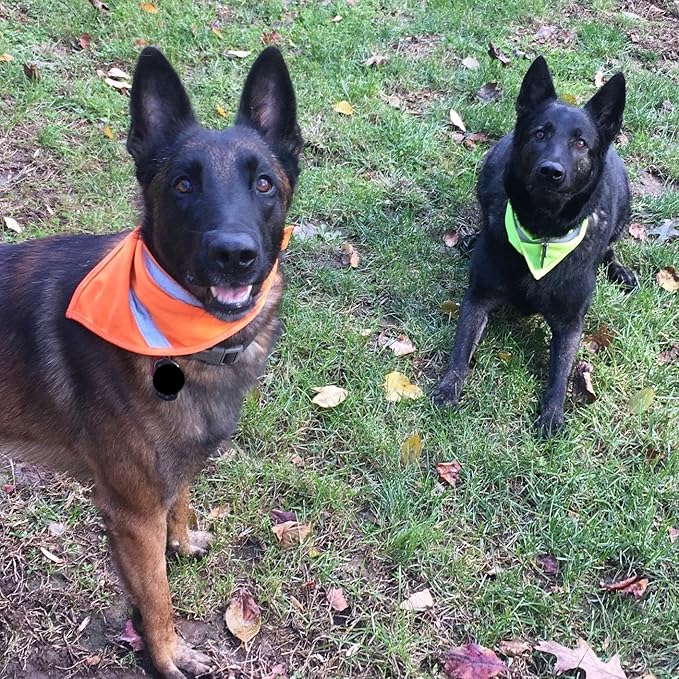 2 Pack Reflective Dog Bandana for Night Safety - High Visibility Adjustable Dog Scarf in Orange/Yellow, Fits Small Medium Large Dogs(Medium)