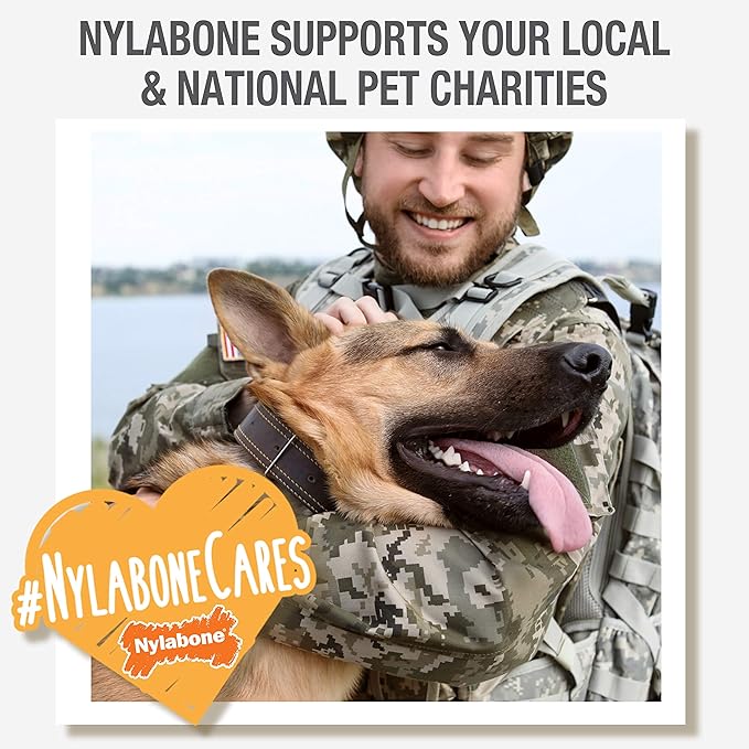 Nylabone Original Bone Power Chew Toy for Dogs, Durable & Tough Dog Toys for Aggressive Chewers, Bacon Flavor, Small - Up to 25 lbs - Up to 25 Ibs, 1 Count