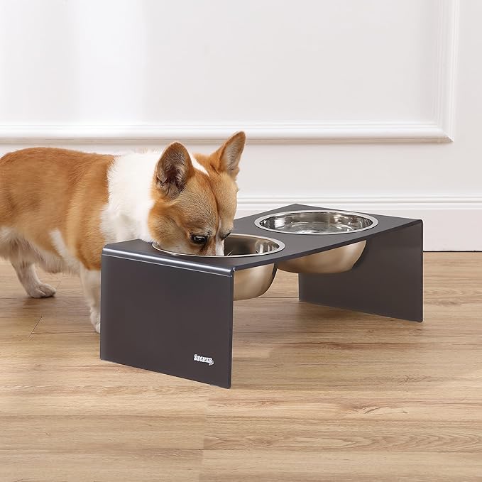The LICKER Store DBL2001J Keaton 7.5" Medium/Large Modern Acrylic Rectangular Elevated Pet Feeder with 54oz 2-Stainless Steel Bowls, Dark Gray/Chrome