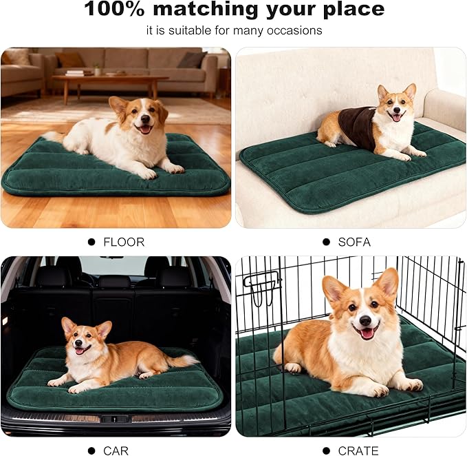 Dog Crate Pad, Ultra Soft & Anti-Slip Kennel Mat, Secure Fit for Metal Crates & Dog Cages, Washable Cozy Bed for Small Medium Large Dogs (Green, M(28"*16"*1.5"))