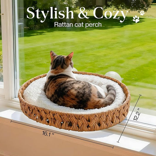2-in-1 Cat Window Perch and Wall Shelves with Solid Wood, Wicker Window Perch for Cats Inside with 4 Upgraded Suction Cups, 16.1" Washable Cushion Cat Perches Bed for Sleeping and Watching Birds