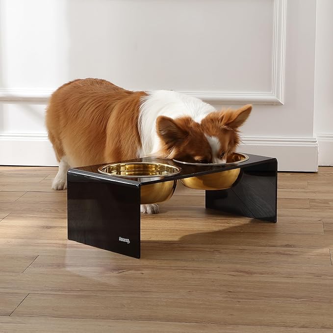 The LICKER Store DBL2001B Keaton 7.5" Medium/Large Modern Lucite Rectangular Elevated Pet Feeder with 54oz 2-Stainless Steel Bowls, Black/Gold
