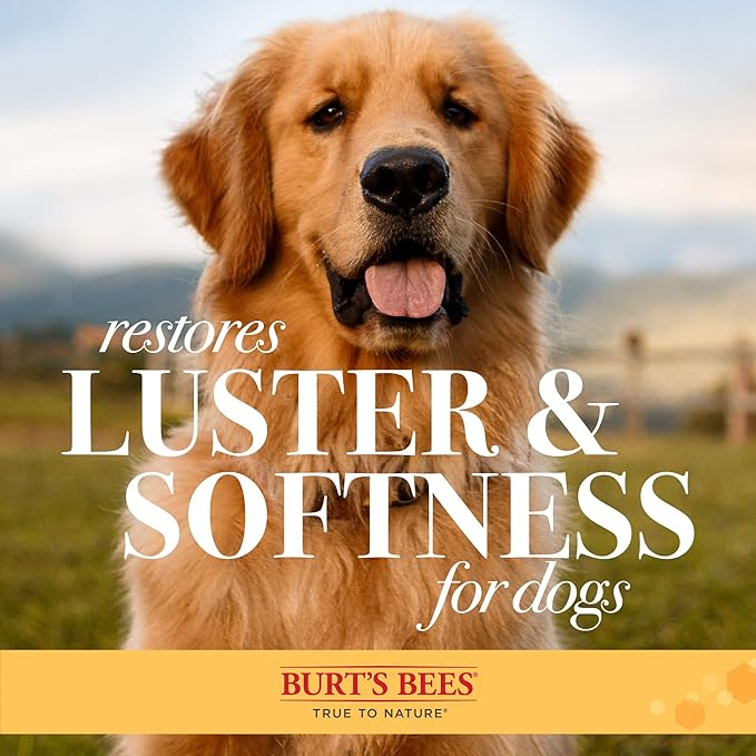 Burt's Bees for Pets Double Sided Pin & Hemp Bristle Dog Brush | Best All-Purpose Dog Brush To Reduce Shedding Great for All Small Dogs And Puppies (Pack of 1)