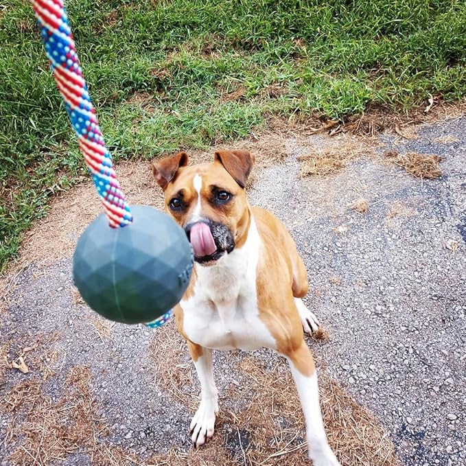 K9 Ops Dog Ball on a Rope Moki Tug Toy - Solid Rubber Fetch Training Reward - Large Dogs Tugs Durable Aggressive Chewers (Ruby Red, MD/LG)