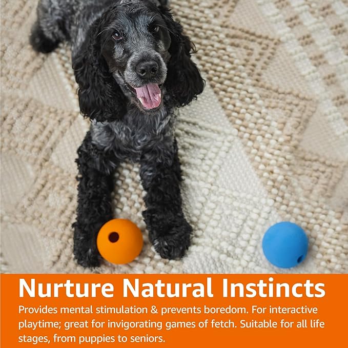Amazon Basics Interactive Bouncy Durable Rubber Dog Toy Balls, 2.5 inch, Multi-Color Blue/Orange, Pack of 10