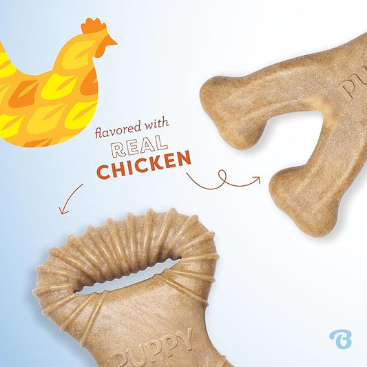 Benebone Puppy 2-Pack Dental Chew/Wishbone Real Chicken Tiny