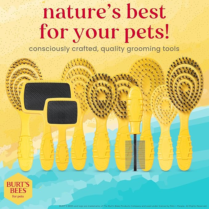 Burt’s Bees for Pets Porcupine Bristle Brush for Puppies and Small Dogs with Handle Made from Recycled Plastics Collected from Coastal Communities | Flex-head Grooming Brush for Dogs