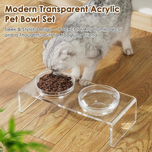Elevated Acrylic Pet Bowl Stand – Raised Cat & Dog Bowls with 2 Glass & 2 Stainless Steel Bowls, Modern Clear Design, Non-Slip, Easy to Clean, Perfect for Small Pets, 3.75" Tall