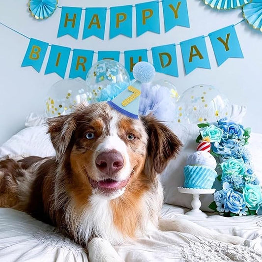 Pet Birthday Hat with Interchangeable Numbers 1-10 | Adjustable Pet Party Cone Hat for Dogs & Cats | Puppy Birthday Photo Props for 1st to 10th Birthday Celebrations (Blue Birthday Pet Hat)