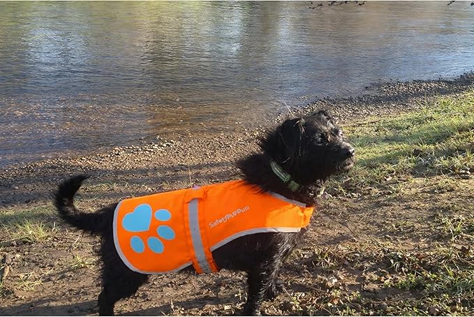SafetyPUP XD Reflective Dog Vest. Hi-Visibility, Fluorescent Blaze Orange Dog Vest Helps Protect Your Best Friend. Safeguard Your PUP from Motorists & Hunting Accidents, On or Off Leash (Small)