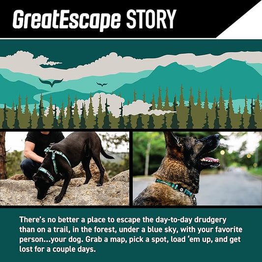 Wolfgang Heavy Duty, Adjustable Dog Collar with Quick Release Nylon Buckle for Walking & Training, GreatEscape Print, Small