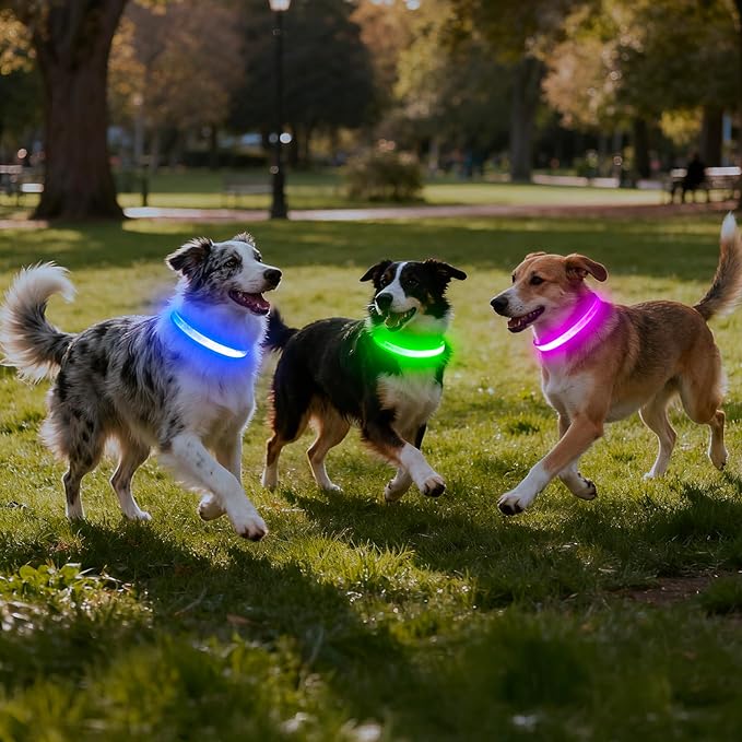 Vizpet LED Dog Collar, Light Up Dog Collar Adjustable USB Rechargeable Super Bright Safety Light Glowing Collars for Dogs(Medium,Blue)