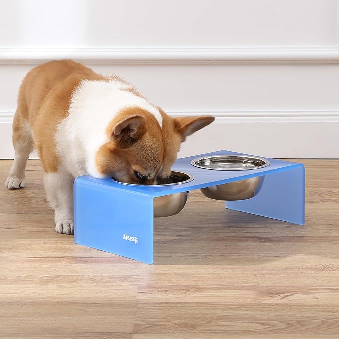 The LICKER Store DBL2000C Keaton 5" Small/Medium Modern Acrylic Rectangular Elevated Pet Feeder with 20oz 2-Stainless Steel Bowls, Blue/Chrome