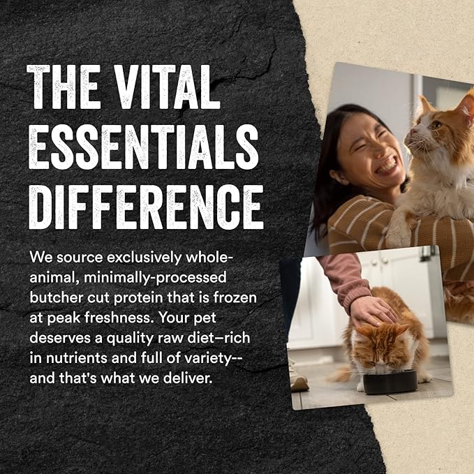 Vital Essentials Cat Treats, Chicken Hearts, Freeze Dried | Single Ingredient | 0.8 OZ | Pack of 6