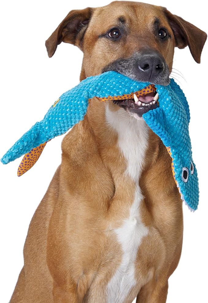 Petstages Stuffing-Free Floppy Shark Plush Dog Toy, Large