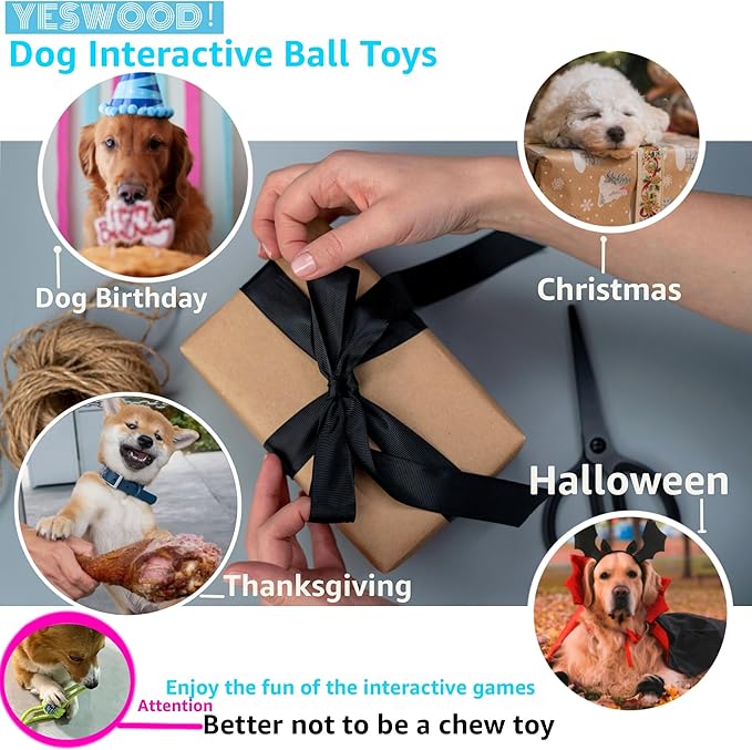 YESWOOD! Fetch Dog Toy Small Breed,Dog Ball with Rope Attached for Small and Medium Breed 0-80 Pounds,4-Pack Ball on Rope Puppy Interactive Toy
