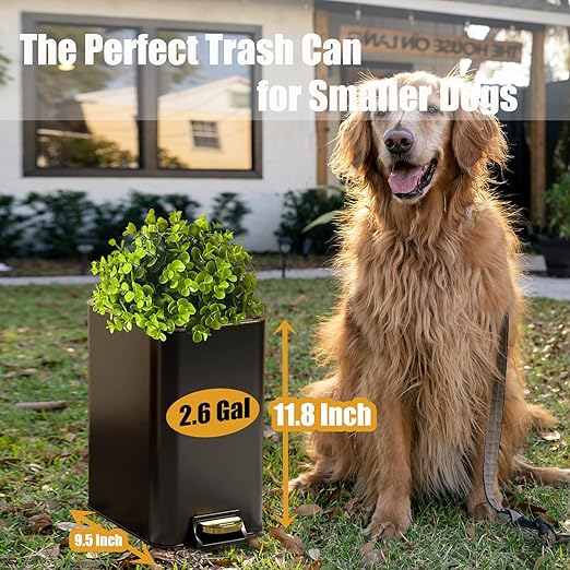 Yatmung Small Metal Trash Can with Lid - Dog Poop Trash Can Outside with Pedal - 10 Liters Pet Waste Container Outdoor - Plant-Styled Poop Bucket - 2.6 Gal Stainless Steel Garbage Bin - Black and Gold