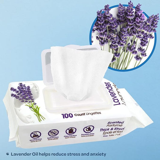 Best Pet Supplies 8" x 9" Large Dog Wipes - Cleaning and Deodorizing for Paws and Coat - Gentle Formula with Lavender Vitamin E for Puppies and Cats - 400 Count