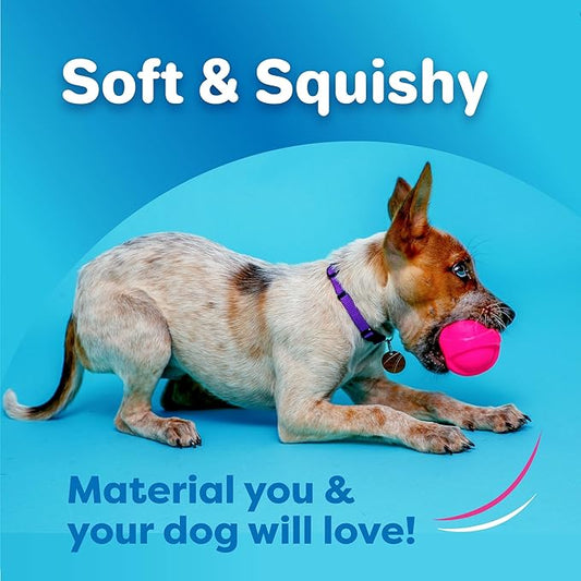 Hartz DuraPlay Ball Squeaky Latex Dog Toy, Neon Green, Neon Pink & Neon Orange, Large 3 Count Pack
