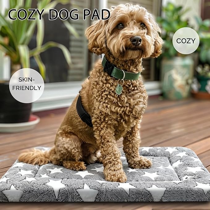 Dog Bed Mat, Reversible Crate Pad & Cute Dog Bed - Machine Washable Kennel Mat with Ultra Soft for Small Dogs (Cool/Warm), 24" x 18", Grey&Star