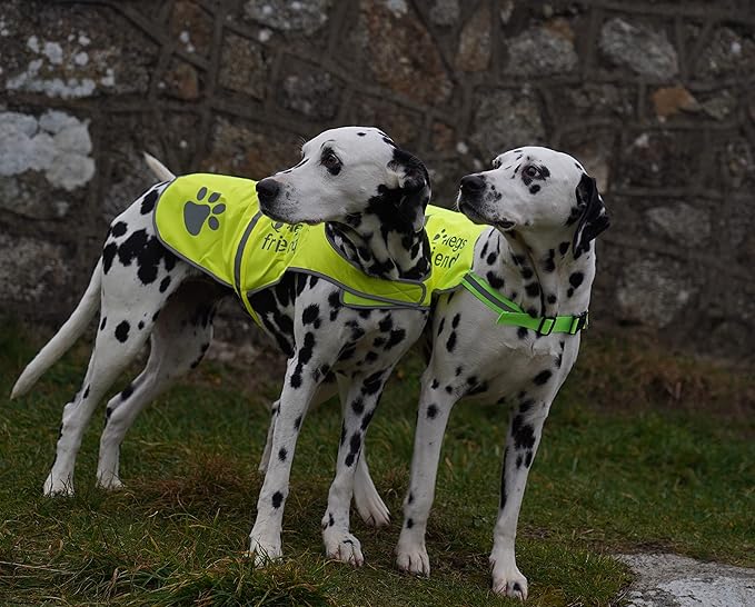 Safety Reflective Vest for Dogs - High Visibility for Outdoor Activity Day and Night, Protect Your Pet from Cars & Hunting Accidents