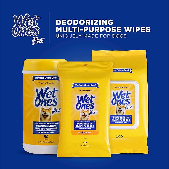 Wet Ones for Pets Desmellizing Multi-Purpose Dog Wipes with Baking Soda Dog Desmellizing Wipes for All Dogs in Tropical Splash Scent, Wet Ones Wipes for Desmellizing Dogs (Pack of 1,100 Count Total)