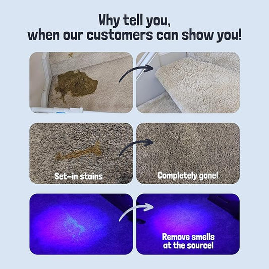Sunny & Honey Pet Stain and Odor Remover - Enzyme Cleaner for Dog Urine and Poop on Carpets and Furniture - Strong Pet Carpet Cleaner Spray (32fl oz Lavender)