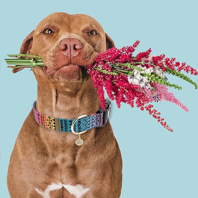 Faygarsle Bohemian Geometric Pattern Dog Collar for Small Medium Large Boys Girls Dogs M