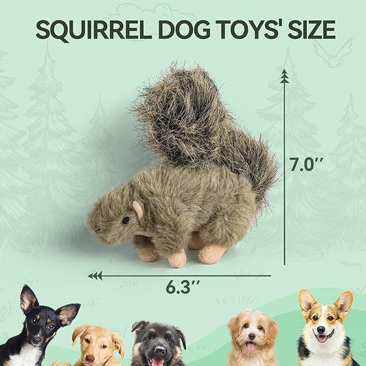 ALL FOR PAWS Classic Squirrel Pet Toys, Small