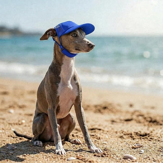 Tuff Pupper Dog Baseball Cap | UV Protection Dog Sun Hat | Breathable Lightweight Design | Secure Adjustable Chin Strap | Quick-Dry Fabric | Reinforced Brim | Small Medium Large Dogs (Blue, XS)
