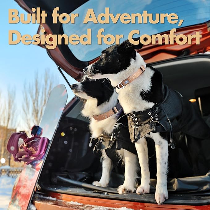 Fall Dog Collar, Cute Star Pattern Brown Collars for Girl & Boy, Reflective,Soft Padded Neoprene,Fully Adjustable,Durable & Lightweight Small Dog Collar, (Star, S)